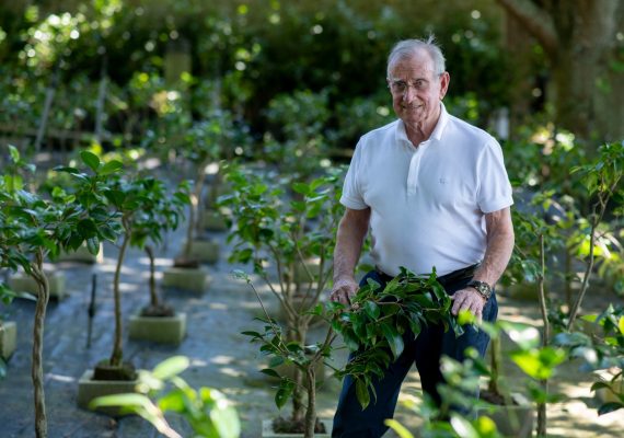 Fotografía de Cándido Pazos entre camelias.